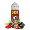 120ml Misha Berries MAMA RUSSIA - 15ml S&V