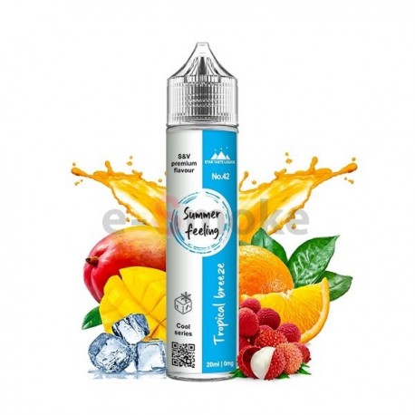60ml Tropical Breeze Summer Feeling - 20ml S&V