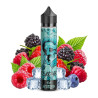 75ml Aqua Berries REVOLTAGE - 15ml S&V