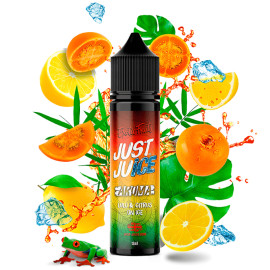 60ml Lulo & Citrus JUST JUICE Aroma - 12ml S&V | www.e-smoke.sk