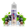 60ml Blackcurrant Menthol TI Juice BAR Series - 10 ml S&V