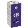 GTS e-liquid 10 ml Dekang Classic